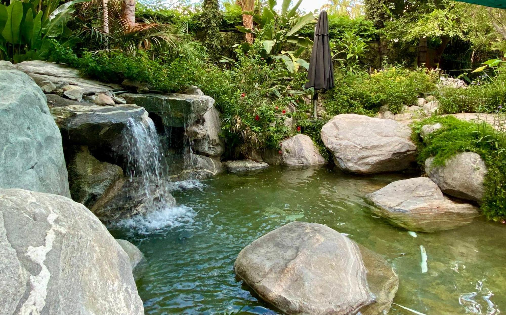 Vista Grande Resort - A Gay Men's Resort Palm Springs Buitenkant foto