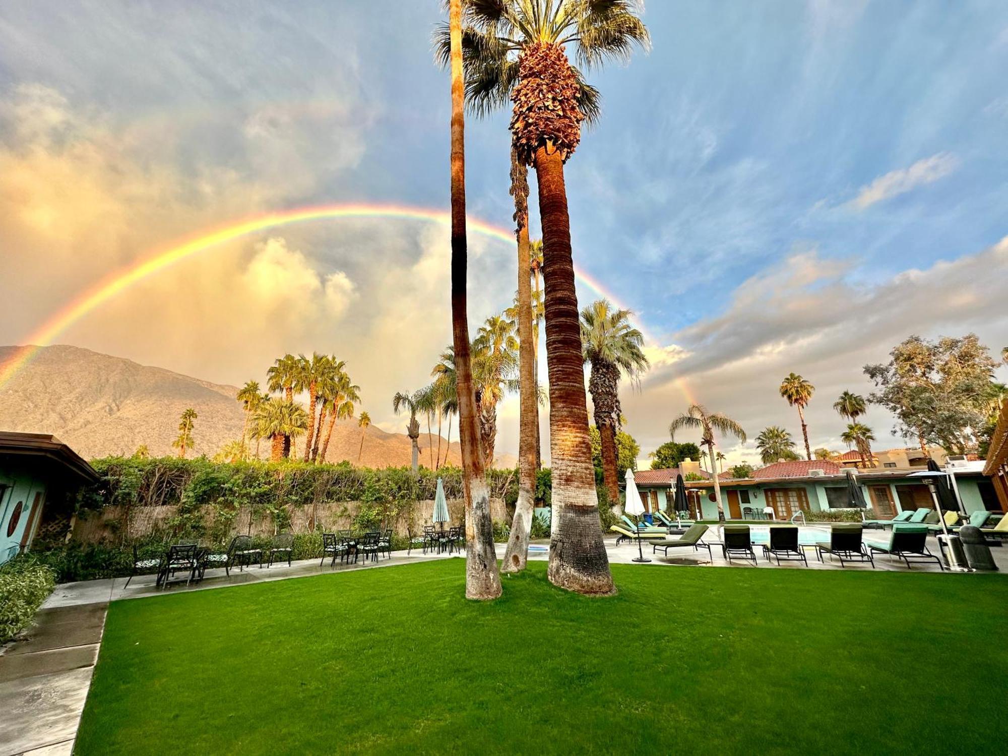 Vista Grande Resort - A Gay Men's Resort Palm Springs Buitenkant foto